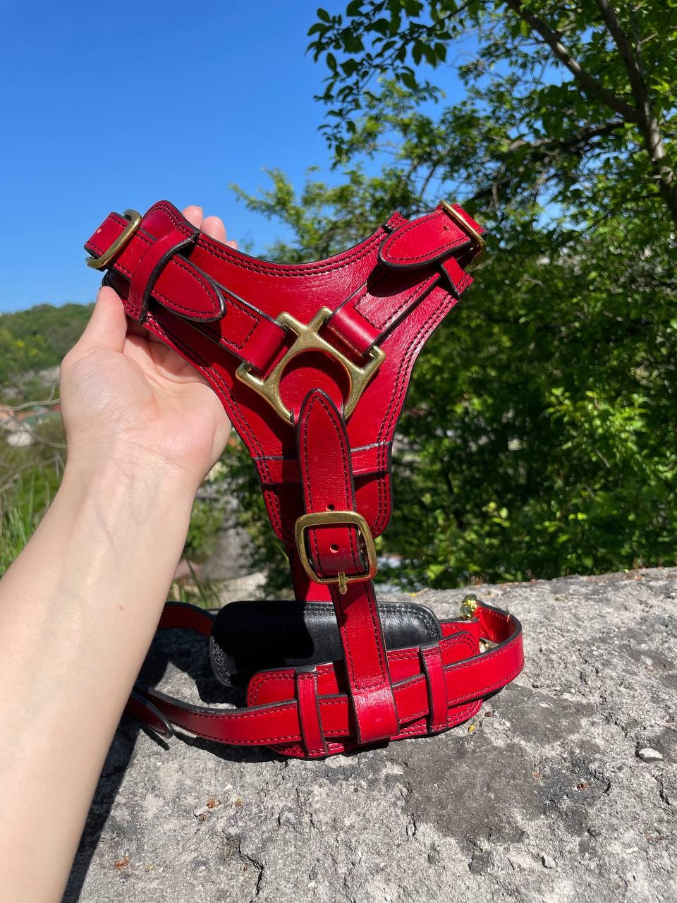 Red Leather Dog Harness with Handle, Brass Buckles Large Dog Harness