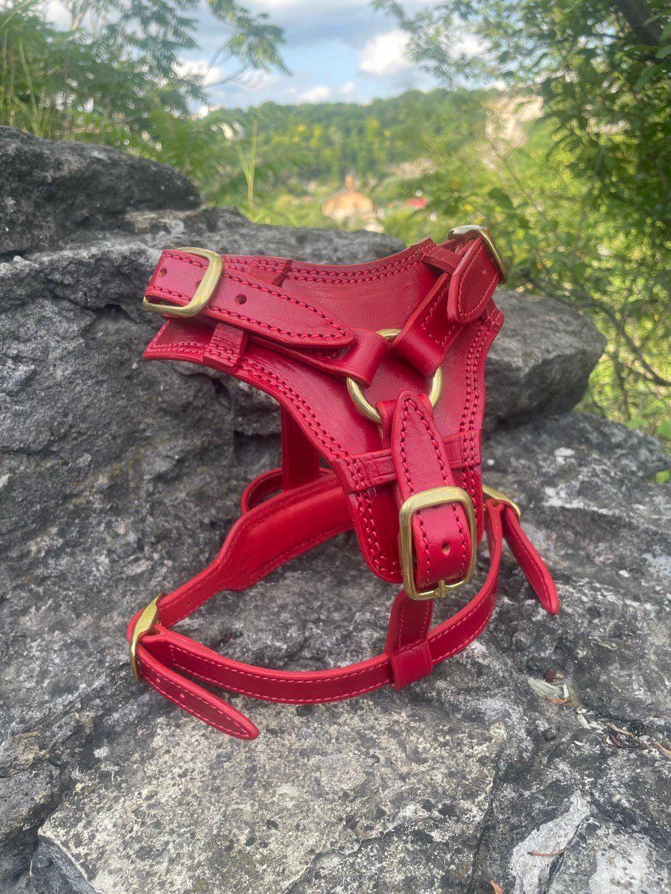 Premium Western Leather Dog Harness Set
