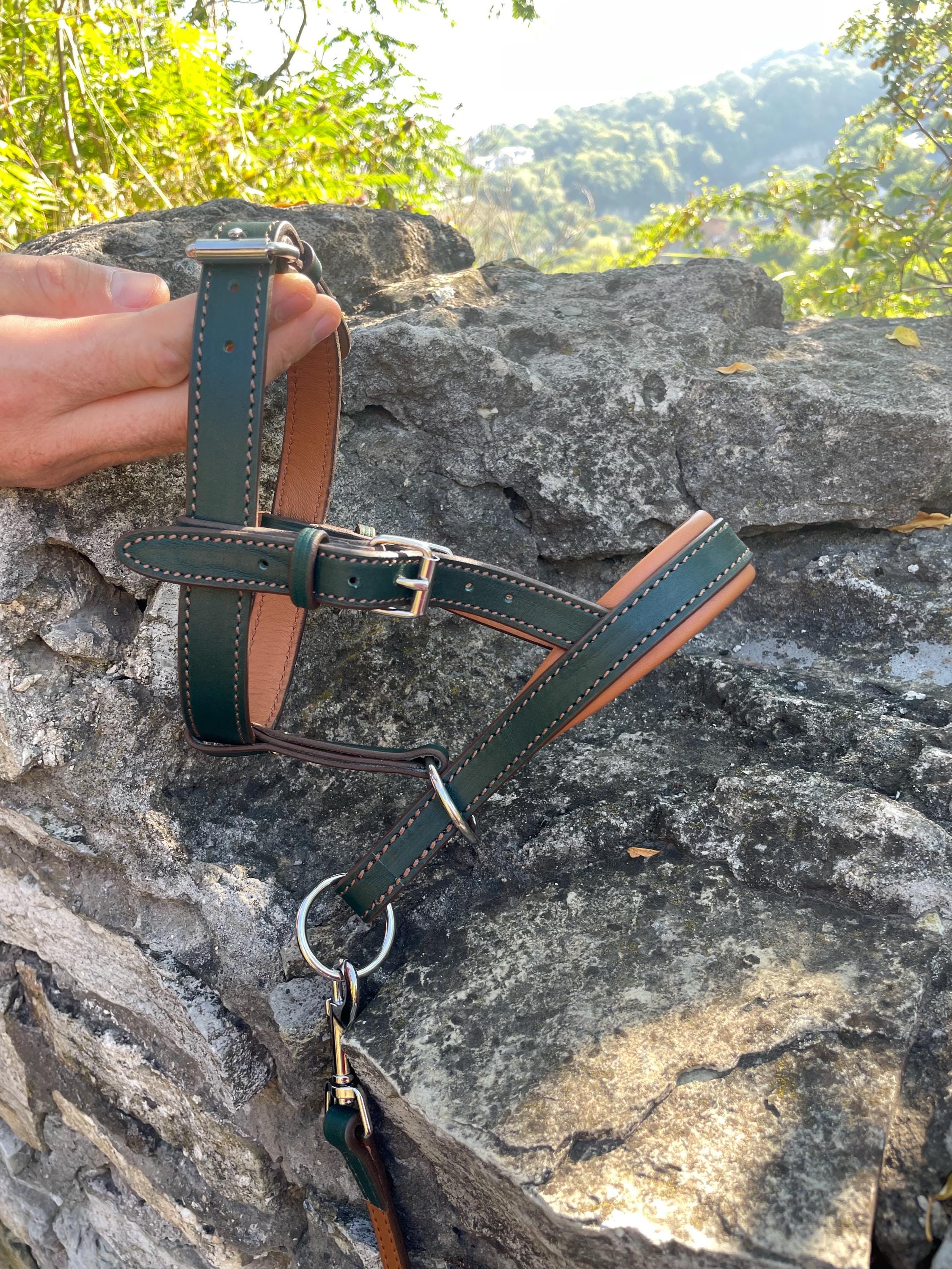 Leather Dog Halter, Dog Head Collar No Pull, Soft Padded Muzzle Alternative for Large Dog