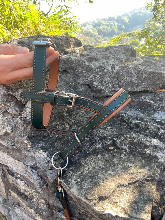 Leather Dog Halter, Dog Head Collar No Pull, Soft Padded Muzzle Alternative for Large Dog