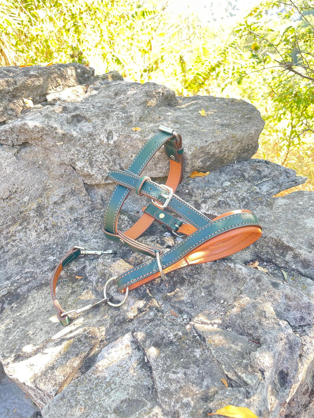 Leather Dog Halter, Dog Head Collar No Pull, Soft Padded Muzzle Alternative for Large Dog
