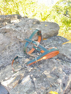 Leather Dog Halter, Dog Head Collar No Pull, Soft Padded Muzzle Alternative for Large Dog