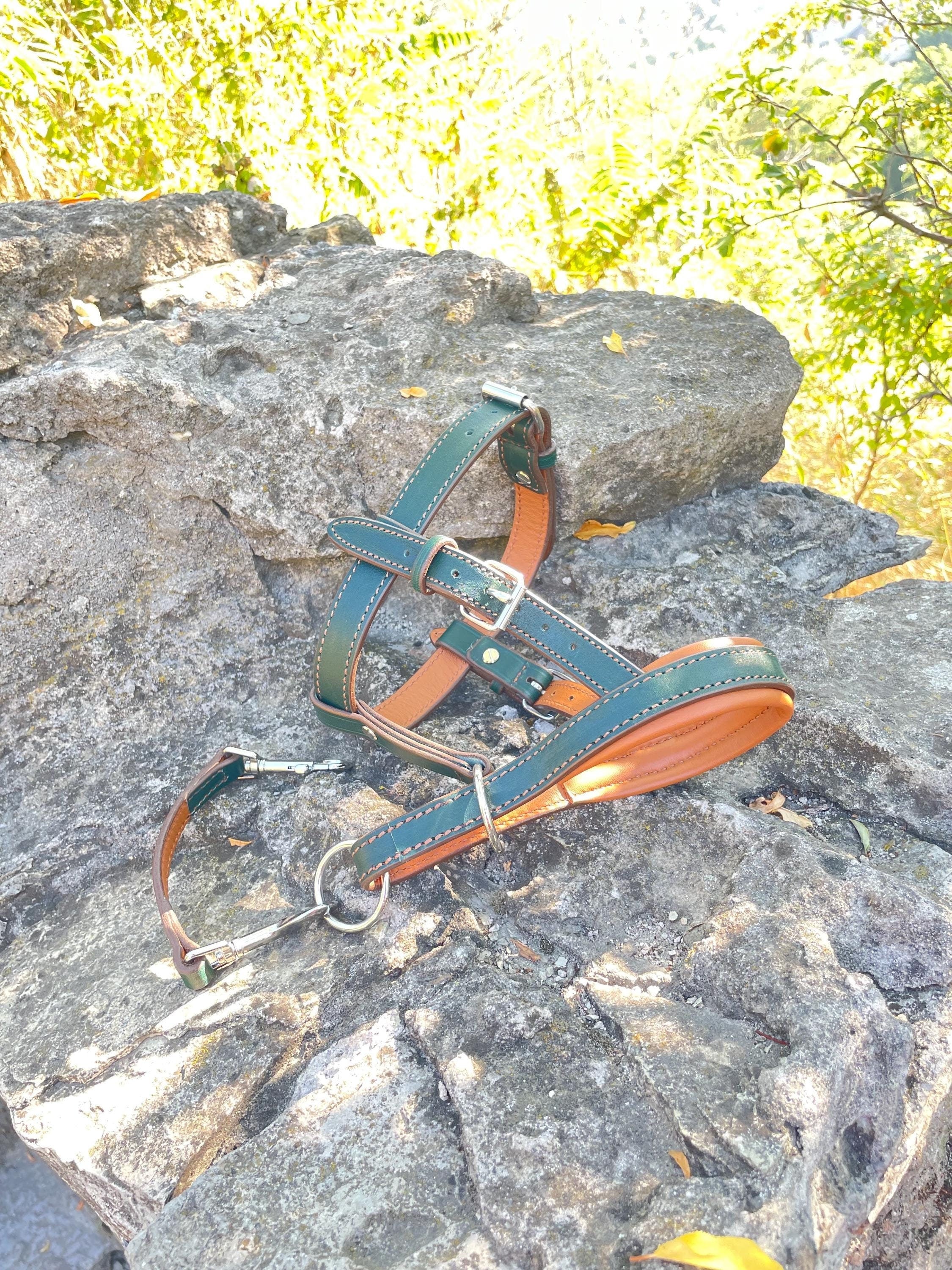 Leather Dog Halter, Dog Head Collar No Pull, Soft Padded Muzzle Alternative for Large Dog