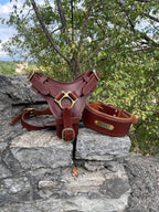 Premium Leather Dog Harness Set for Large Dogs, Wide Padded Dog Collar, Heavy Duty Leather Dog Leash Braided Ends, Custom Big Dog Harness