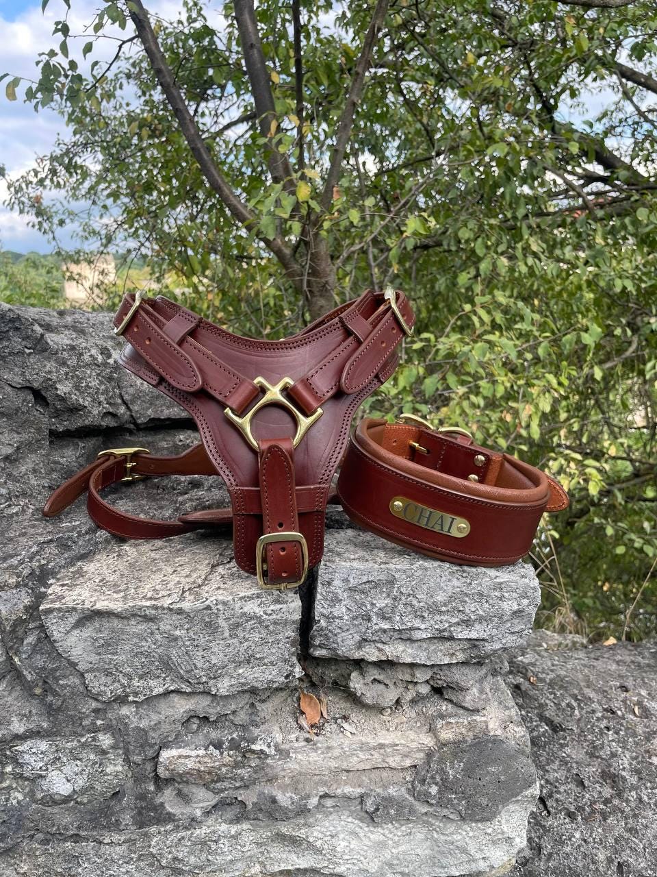 Premium Leather Dog Harness Set for Large Dogs, Wide Padded Dog Collar, Heavy Duty Leather Dog Leash Braided Ends, Custom Big Dog Harness