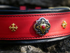 Luxury Red Leather Dog Collar and Leash Set for Large Dog, Designer Dog Collar Wide Padded Handle Leash Solid Brass Buckle