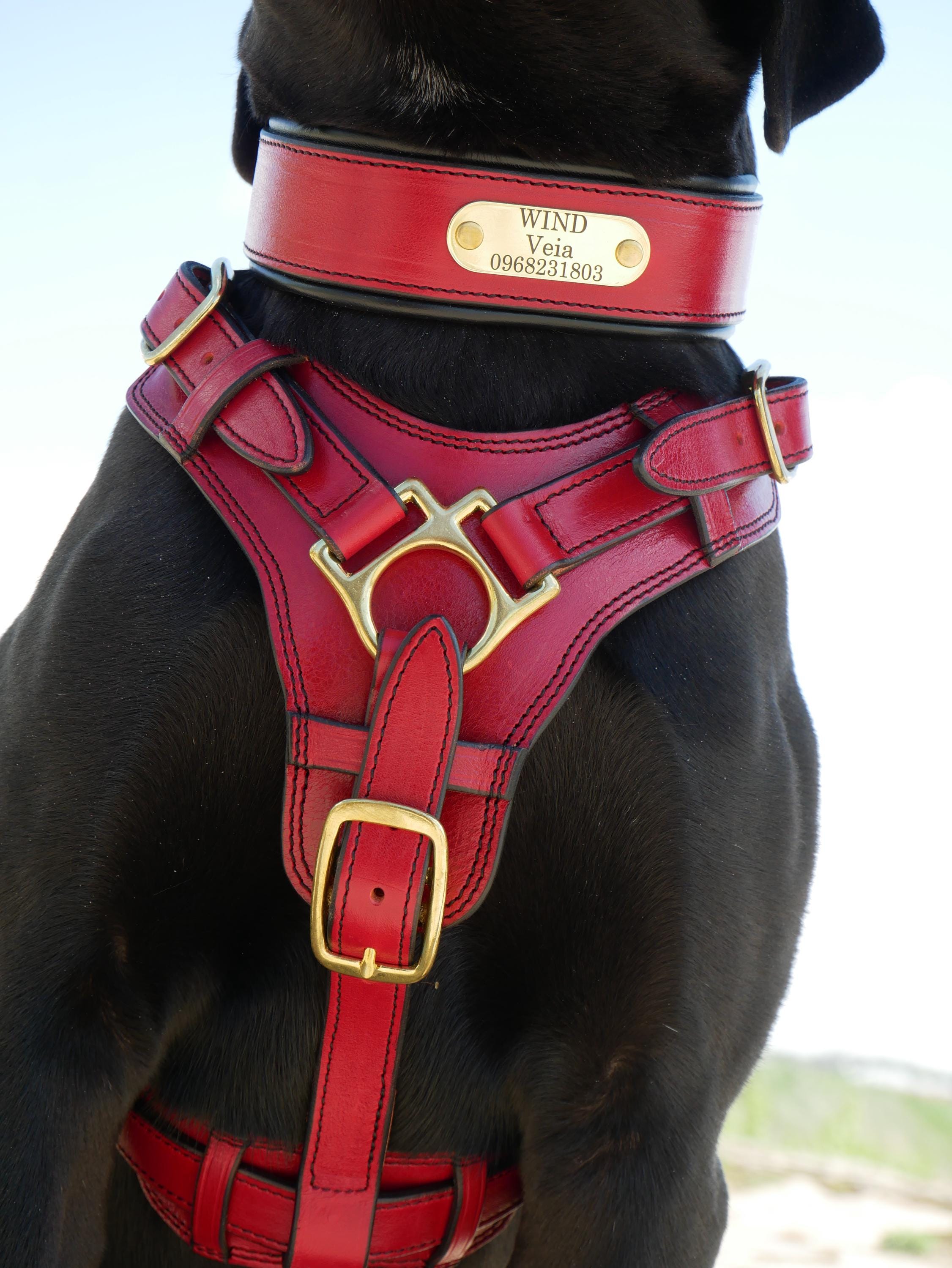 Red Leather Dog Harness for Large Breed, Сustom Dog Harness with Handle