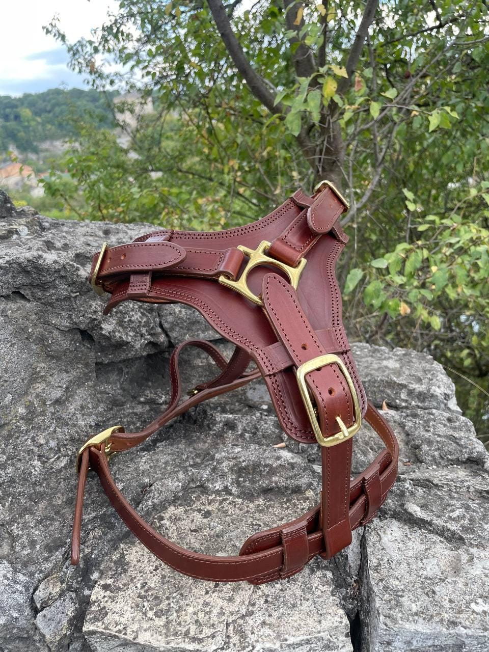 Premium Leather Dog Harness Set for Large Dogs, Wide Padded Dog Collar, Heavy Duty Leather Dog Leash Braided Ends, Custom Big Dog Harness