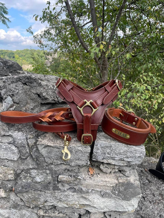 Premium Leather Dog Harness Set for Large Dogs, Wide Padded Dog Collar, Heavy Duty Leather Dog Leash Braided Ends, Custom Big Dog Harness