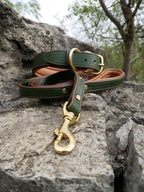 Green Leather Personalized Dog Collar and Leash Set Luxury Brass Buckle, Soft Padded Dog Collar, Padded Handle Dog Leash