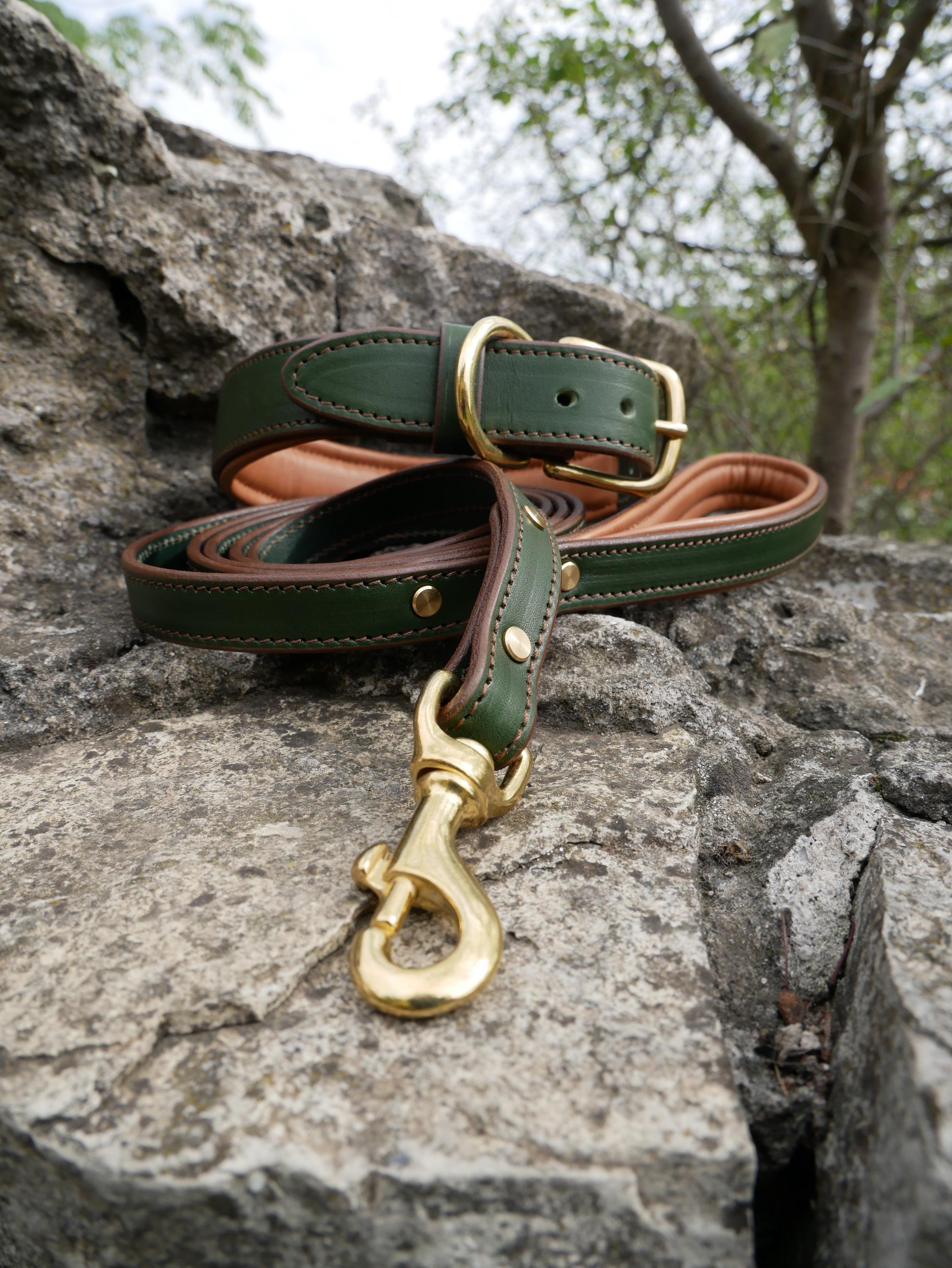 Green Leather Personalized Dog Collar and Leash Set Luxury Brass Buckle, Soft Padded Dog Collar, Padded Handle Dog Leash