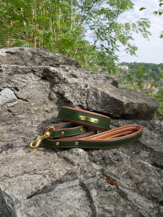 Green Leather Personalized Dog Collar and Leash Set Luxury Brass Buckle, Soft Padded Dog Collar, Padded Handle Dog Leash