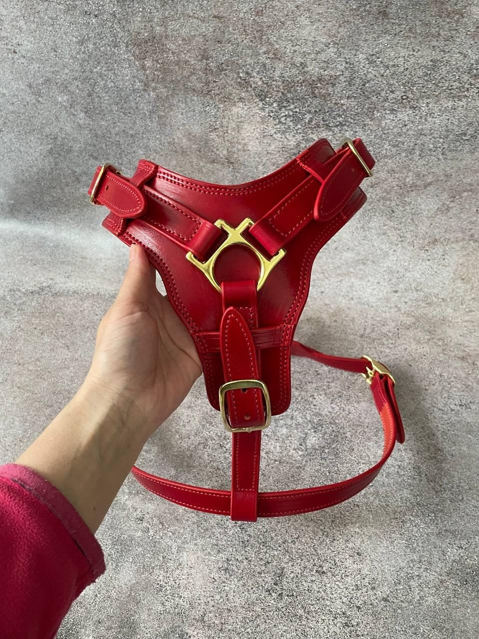 Red Leather Dog Harness for Large Breed, Сustom Dog Harness with Handle