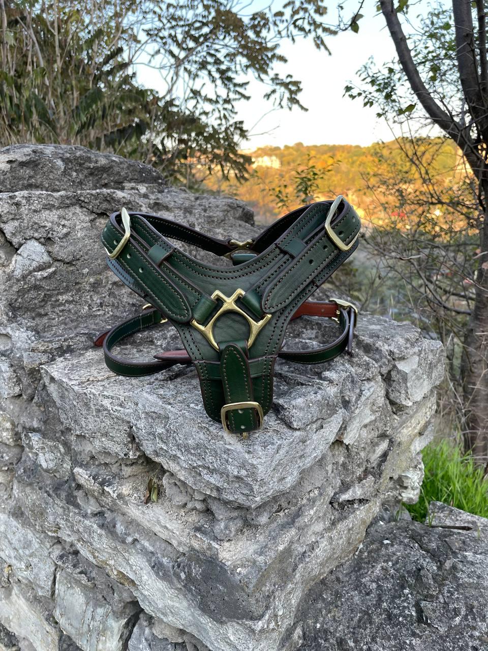 Premium Leather Dog Harness with Handle, Luxury Harness for Large Dogs, Doberman, German Shepherd, Cane Corso, Great Dane, Mastiff, Pitbull