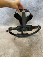 Leather Dog Harness for Large Dogs, Padded Dog Harness with Stainless Steel Buckles