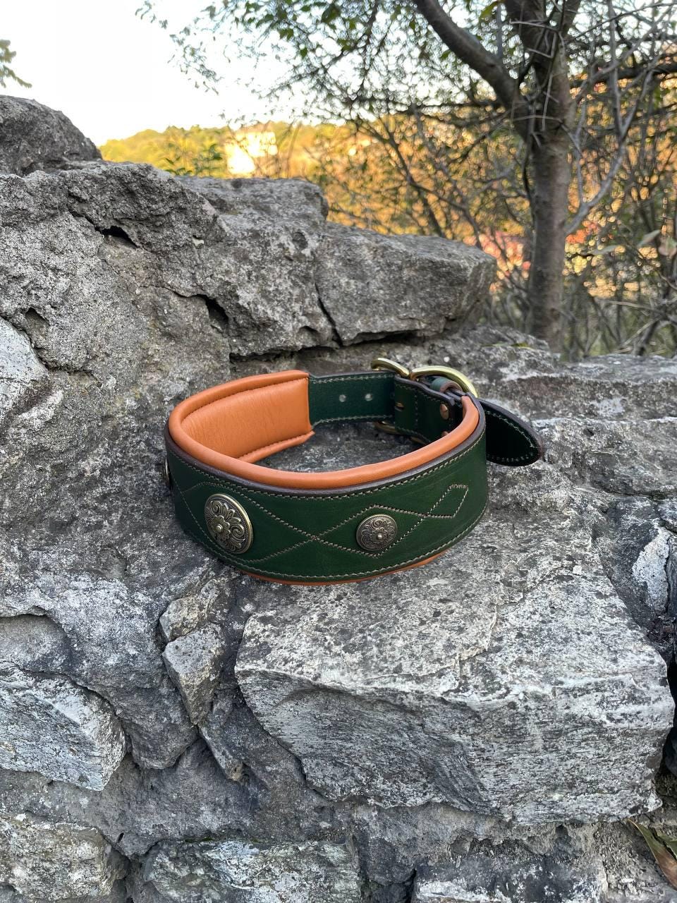 Green Leather Dog Collar for Large Dogs, Wide Padded Collar, Luxury Collar with Conchos, Big Dog Collars, Doberman, Cane Corso, Shepherd