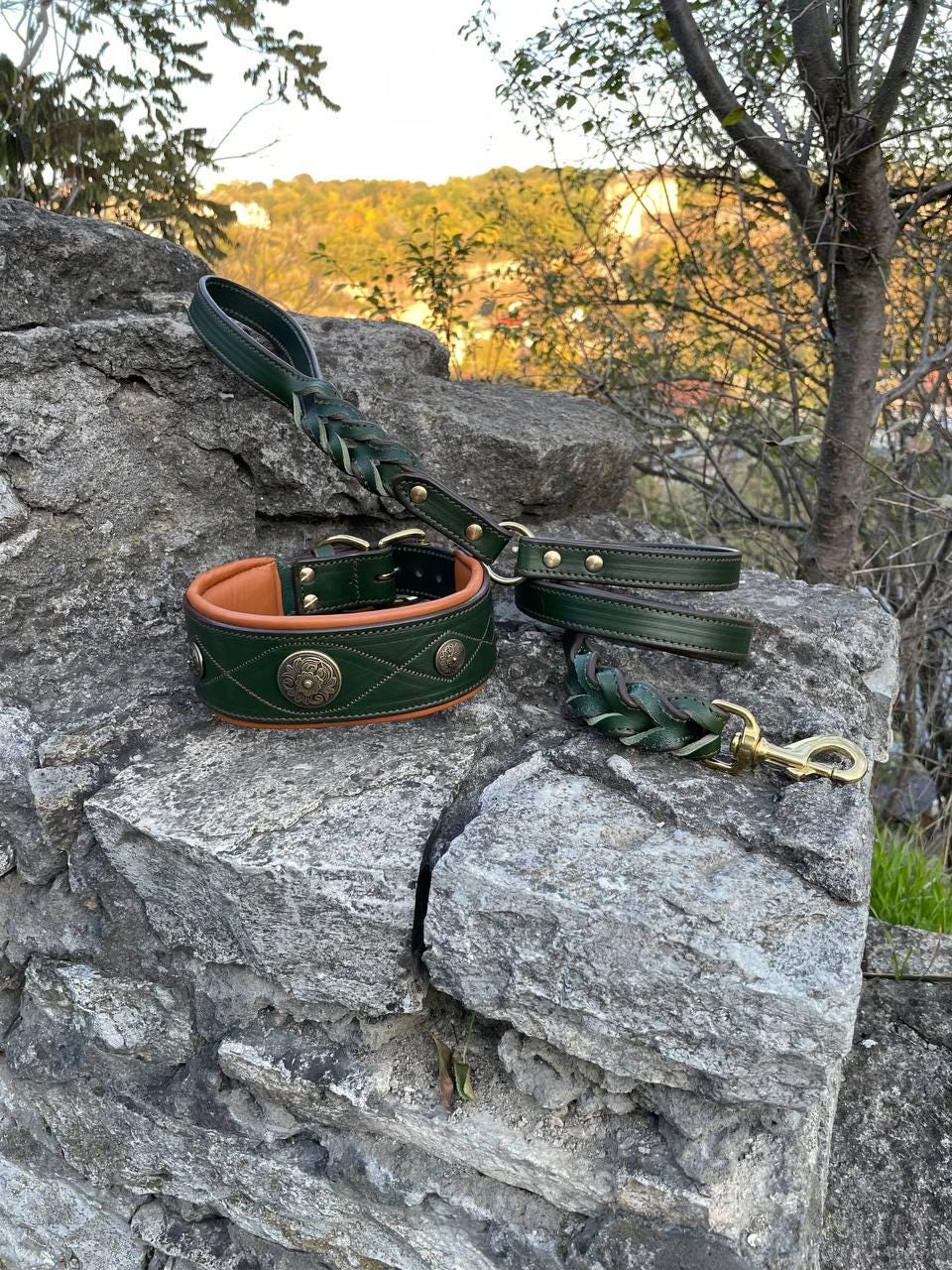 Premium Western Leather Dog Collar and Leash Set
