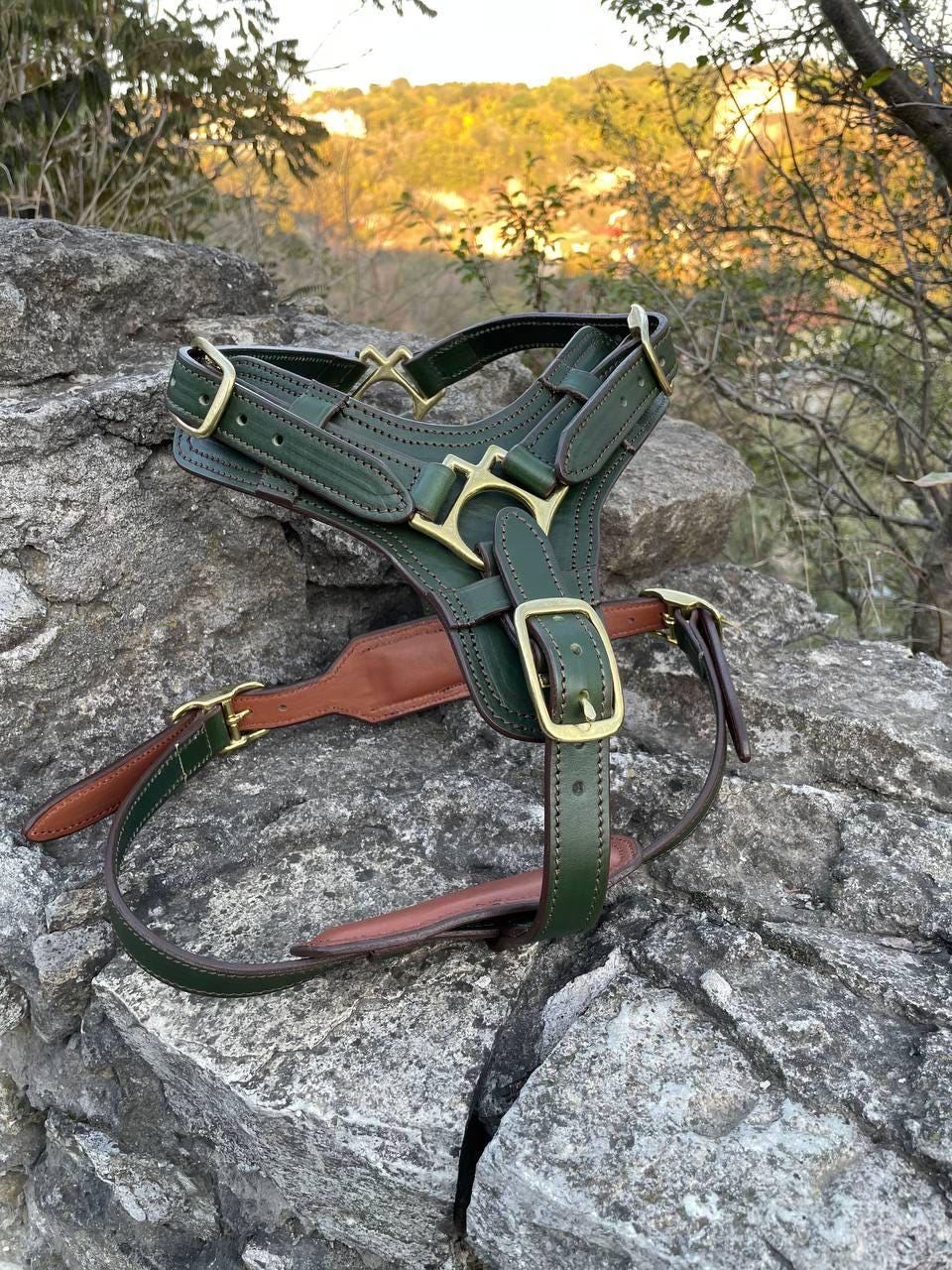 Leather Dog Harness Green Luxury Harness for Large Dog, Braided Ends Dog Leash Leather, Custom Dog Harness with Handle and Leash Set