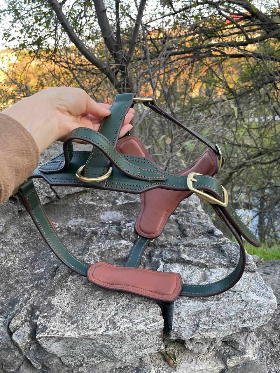 Premium Leather Dog Harness with Handle, Luxury Harness for Large Dogs, Doberman, German Shepherd, Cane Corso, Great Dane, Mastiff, Pitbull
