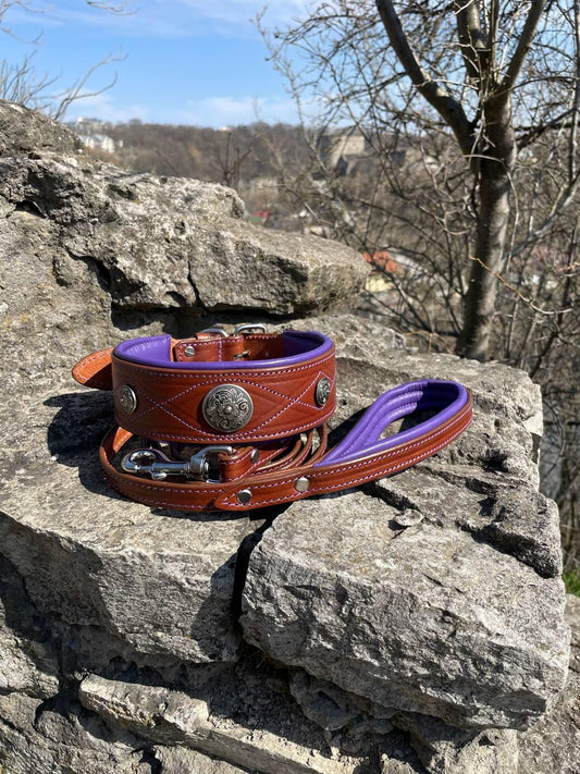 Purple Brown Leather Dog Collar with Concos, Large Padded Collar and Leash Set for Big Breed like Doberman, German Shepherd, Cane Corso