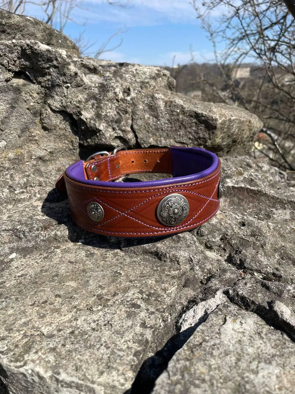 Purple Brown Leather Dog Collar with Concos, Large Padded Collar and Leash Set for Big Breed like Doberman, German Shepherd, Cane Corso
