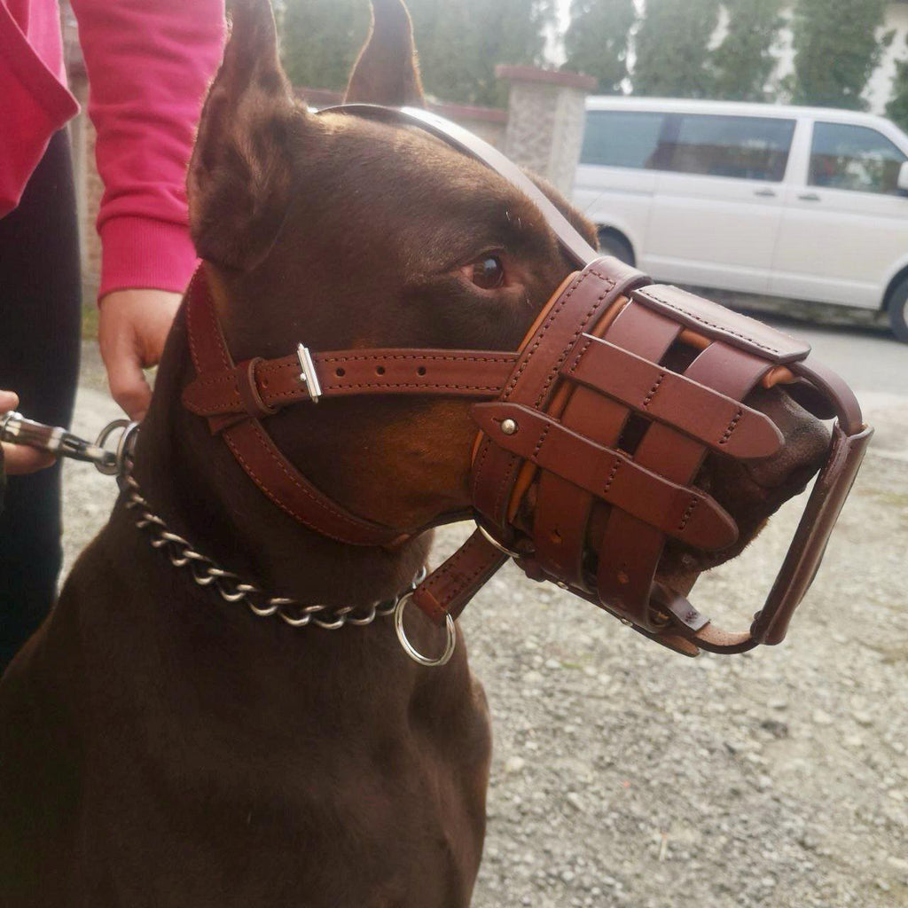 Leather Dog Walking Muzzle