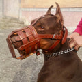 Leather Dog Walking Muzzle