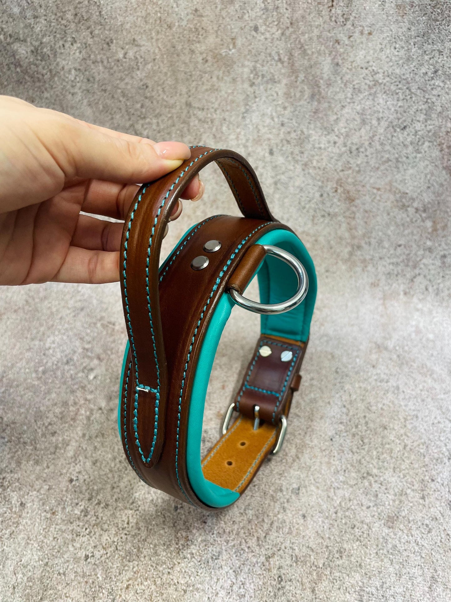 Leather Dog Collar with Handle, Wide Padded Training Collar with Nameplate