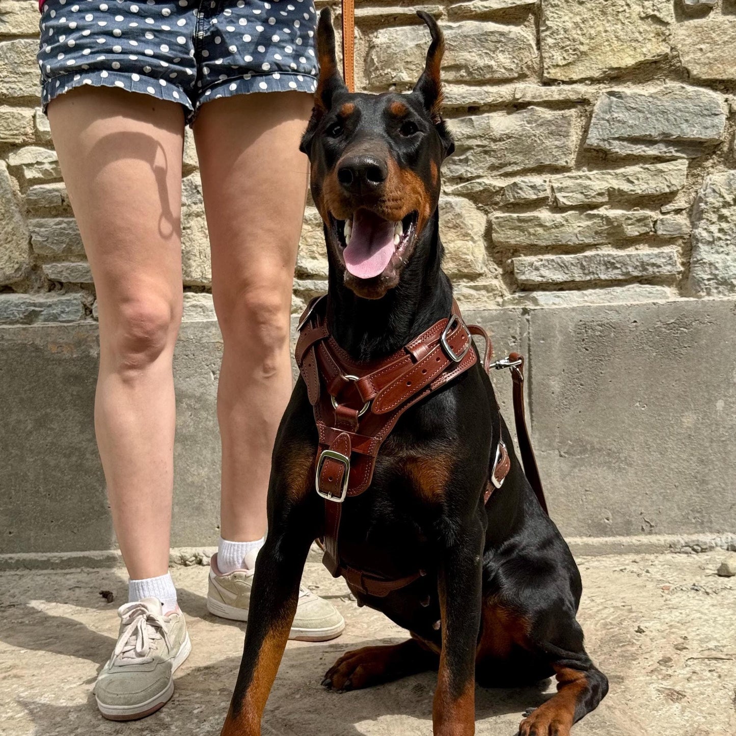 Brown Leather Dog Harness for Large Dogs, Cane Corso Mastiff Doberman