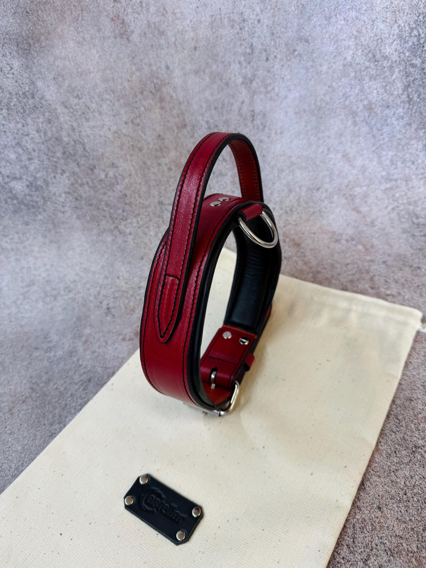 Leather Dog Collar with Handle, Wide Padded Training Collar with Nameplate