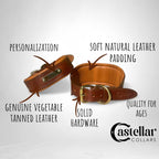 Luxury Green Leather Caramel Padded Dog Collar with Soft Cushion, Hound Dog Collar, Classic Padded Collar, Caramel Green Dog Collar