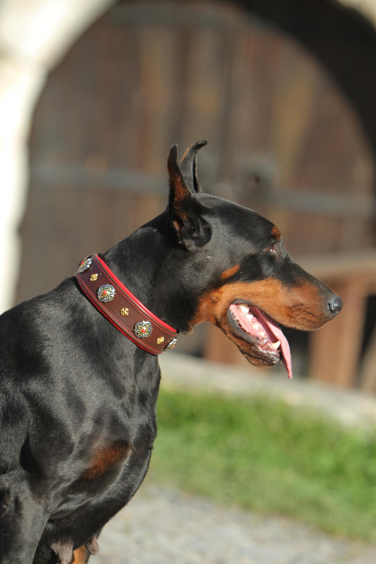 Brown Leather Dog Collar with Red Soft Padding, Heavy Duty, Custom Size, Wide