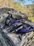 Leather Dog Collar, Head Collar & Leash Set, No Pull Headcollar for Large Dogs, Training Set for Doberman, Shepherd, Mastiff
