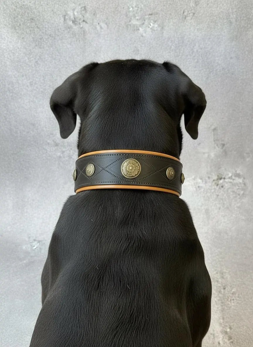 Western dog collars with conchos