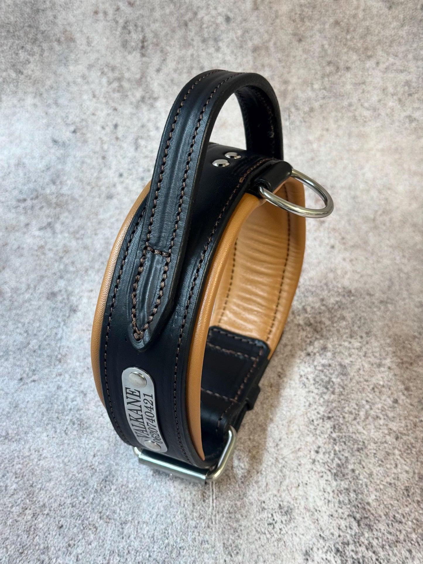 Leather Dog Collar with Handle, Wide Padded Training Collar with Nameplate