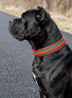 Unique Green Leather Dog Collar and Leash Set, Braided Dog Collar, Handmade Collar for Large Breeds, Doberman, Cane Corso, Bulldog