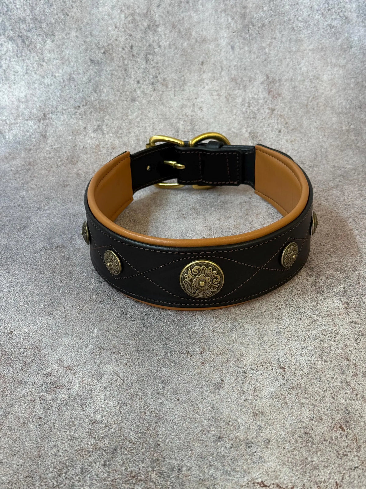 Western dog collars with conchos