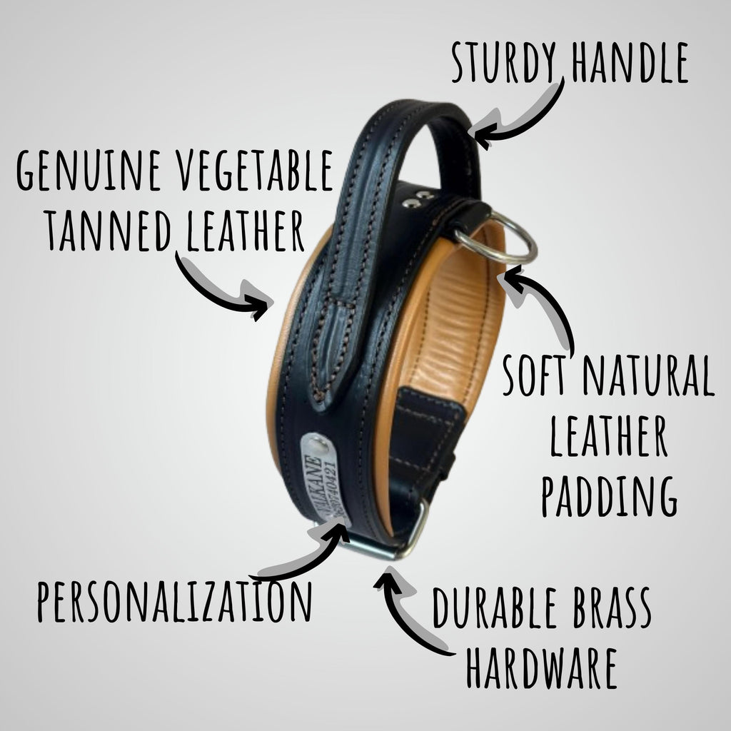Leather dog collar with handle wide padded collar for doberman shepherd mastiff malinois bulldog, 2 inch tactical collar and leash set