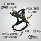 Black Leather Dog Harness with Brass Hardware for Large Breeds