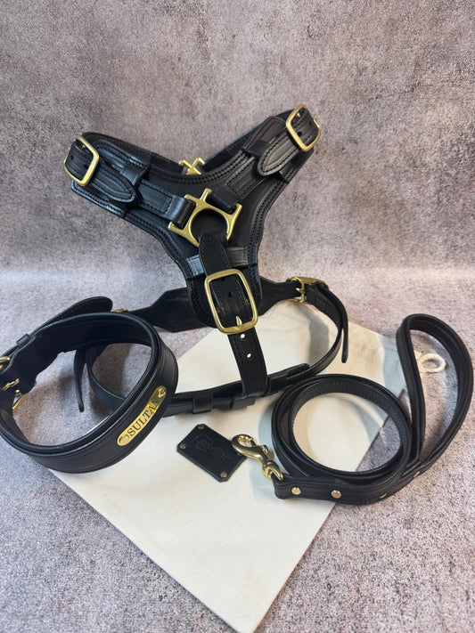 Premium Black Leather Dog Harness Collar and Leash Set, Brass Hardware, Personalized Dog Collar for Medium and Large Dogs