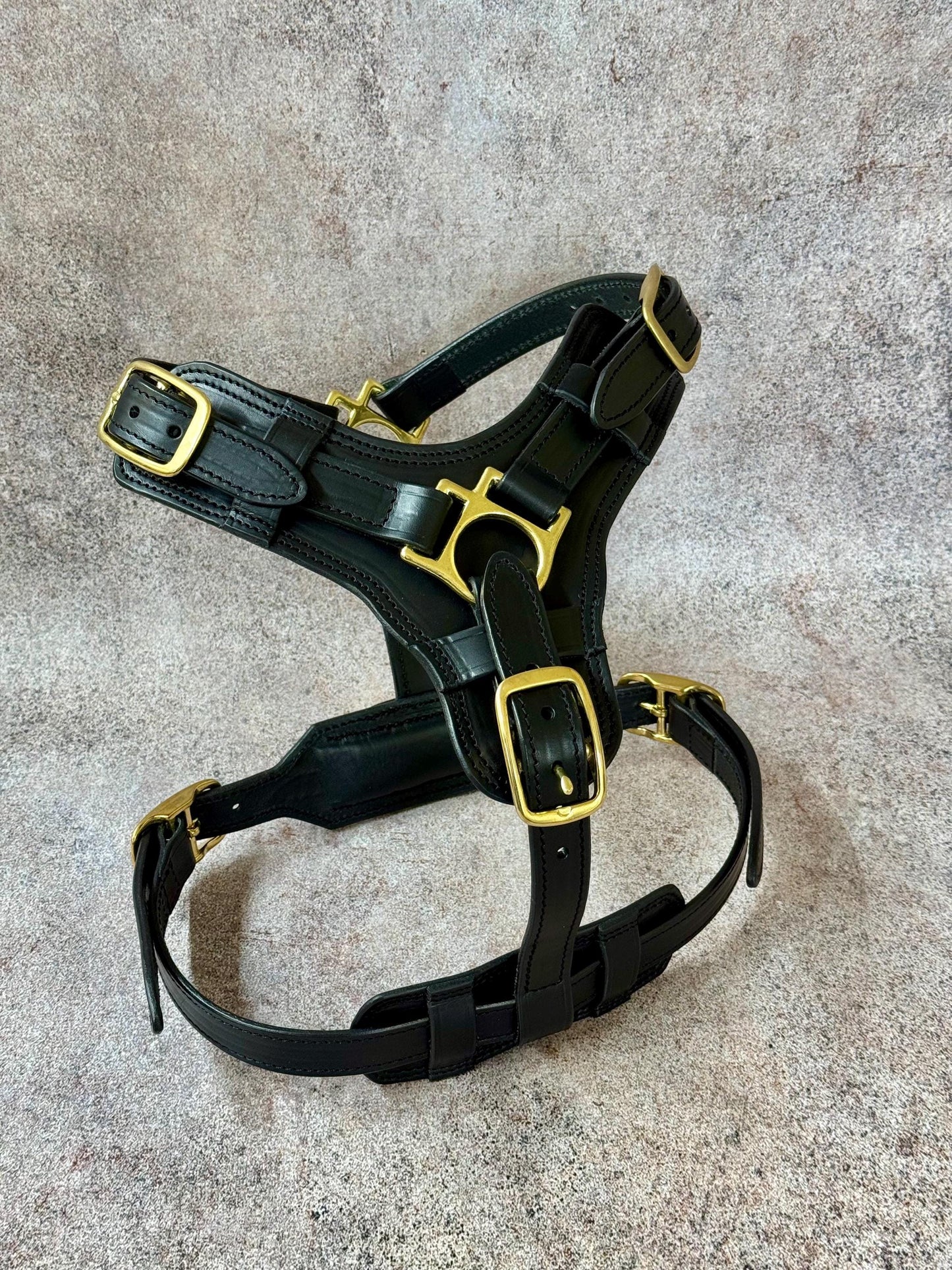 Premium Black Leather Dog Harness Collar and Leash Set, Brass Hardware, Personalized Dog Collar for Medium and Large Dogs