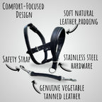 Leather Dog Head collar and Leash Set, Adjustable Halter for Walking & Training, Soft Padding, No Pull Design