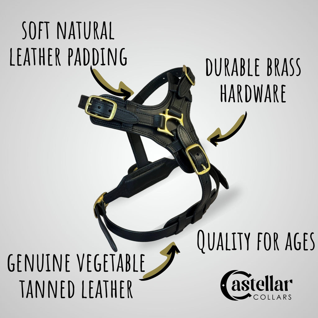Red Leather Dog Harness for Large Breed, Сustom Dog Harness with Handle
