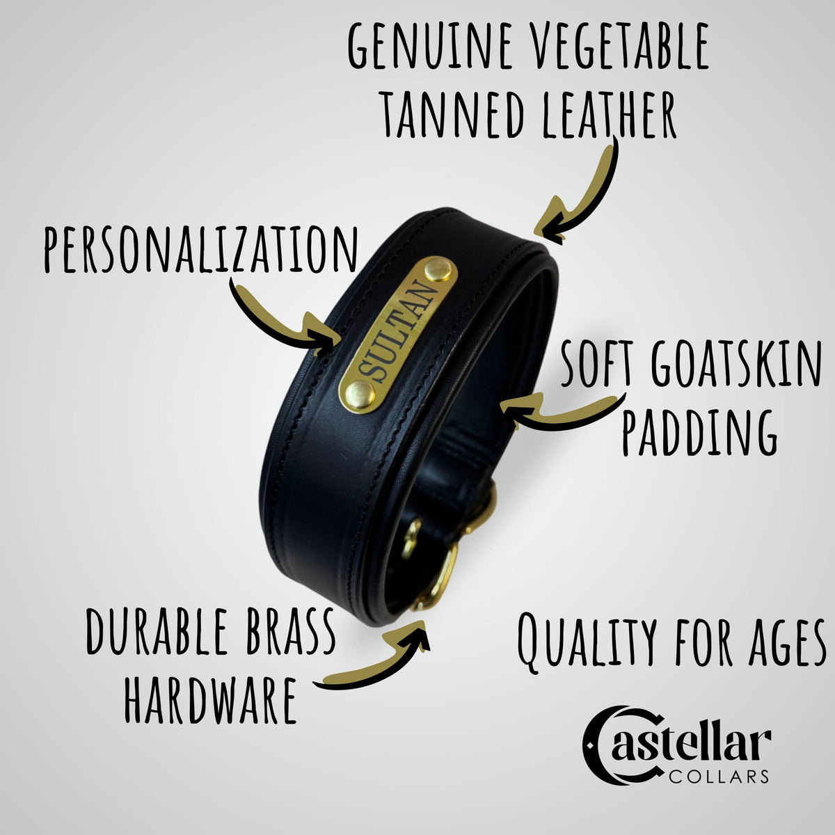 Custom Leather Dog Collar with brass nameplate