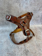 Brown Leather Dog Harness for Large Dogs, Cane Corso Mastiff Doberman