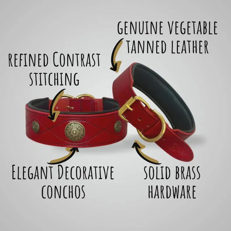 Western dog collars with conchos