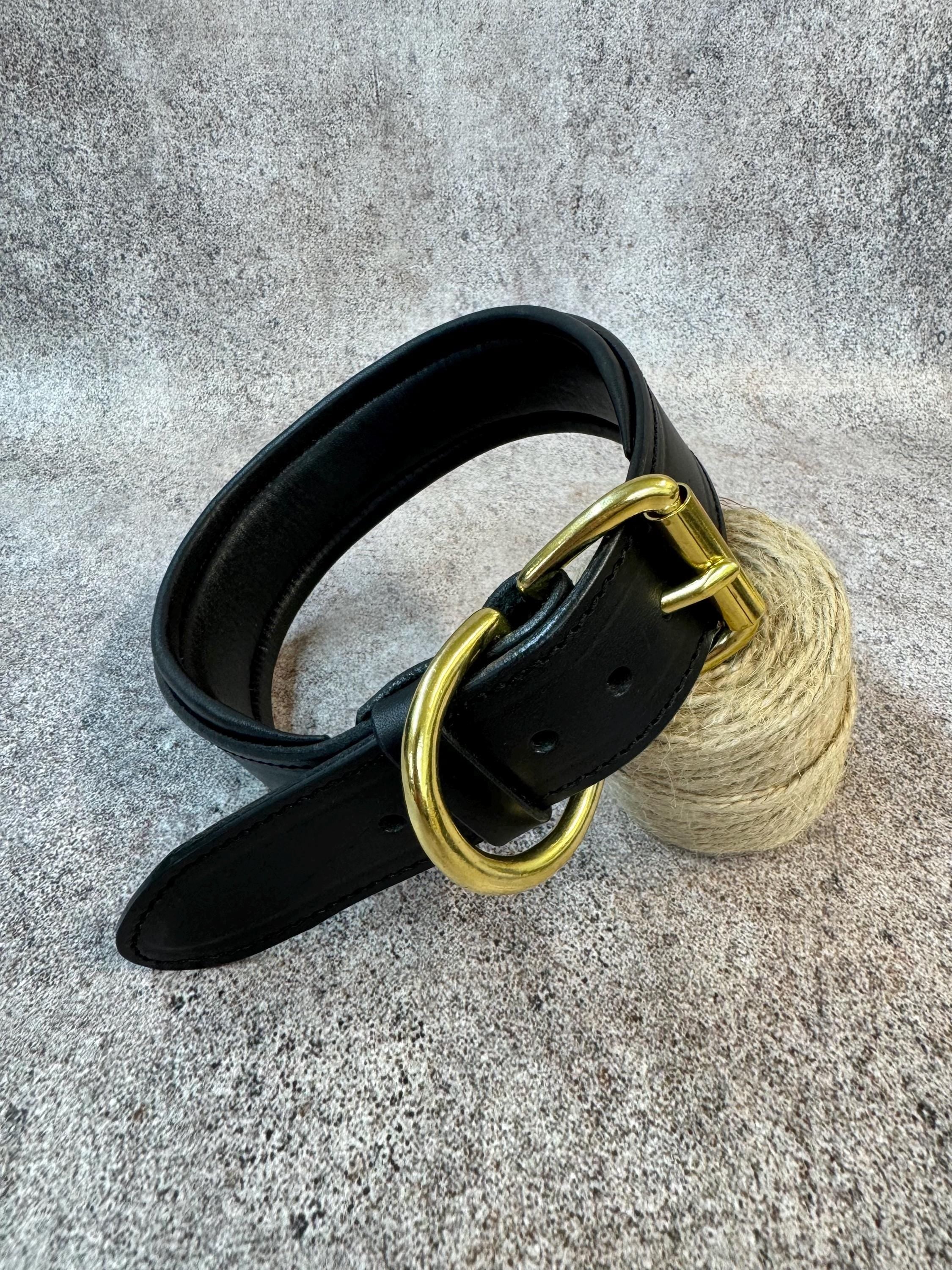 Personalized Black Leather Dog Collar with Brass Nameplate