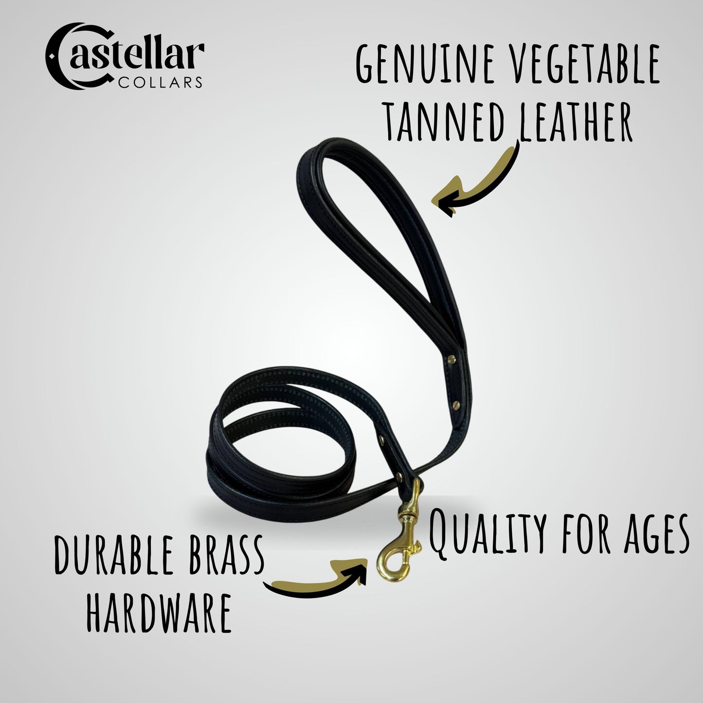 Black Leather Dog Leash with Solid Brass Hardware