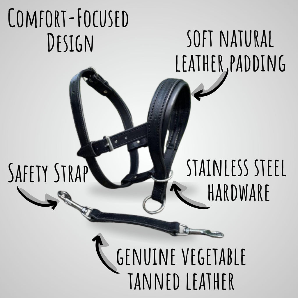 Leather Dog Collar, Head Collar & Leash Set, No Pull Headcollar for Large Dogs, Training Set for Doberman, Shepherd, Mastiff