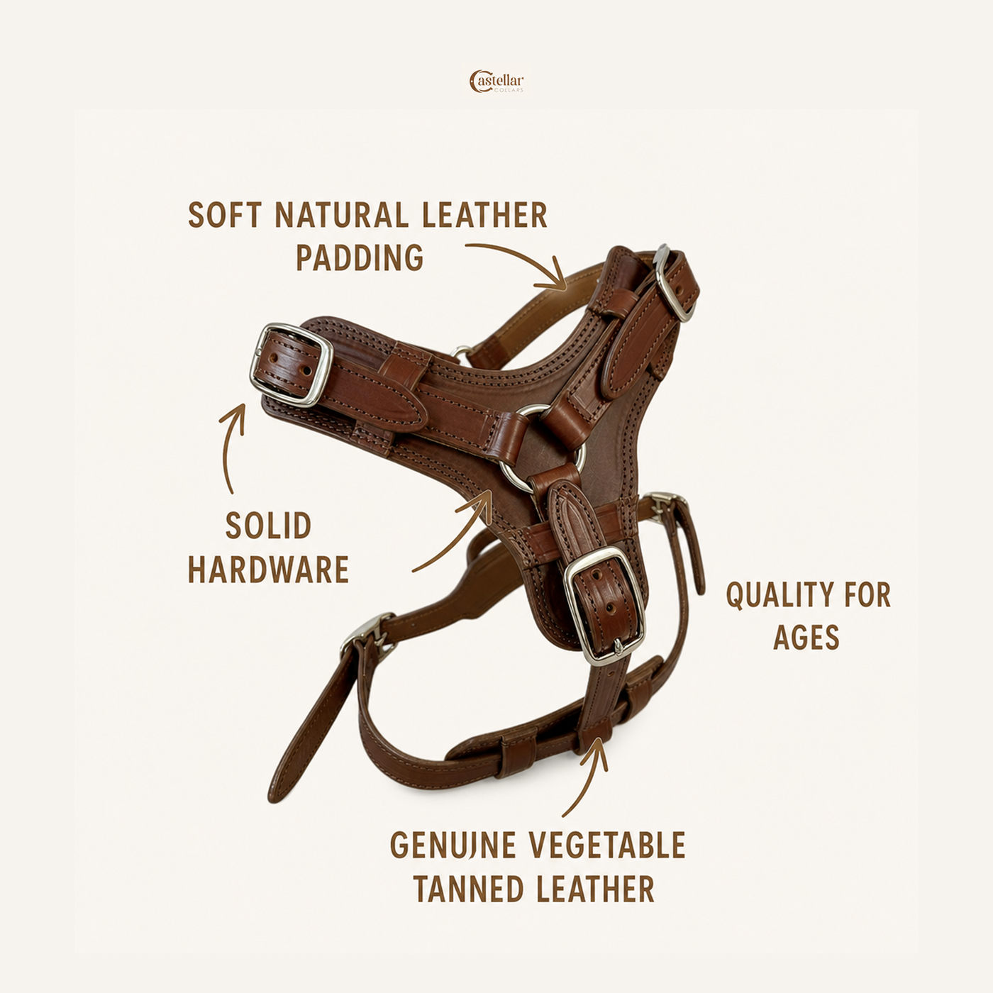 Luxury Leather Harness